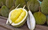 Durian Gandaria Cikakak, Rasanya Super Lezat