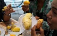 manfaat buah durian bagi kesehatan