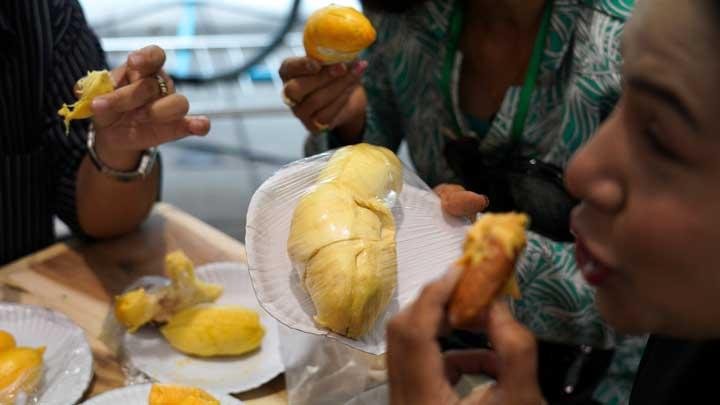 manfaat buah durian bagi kesehatan