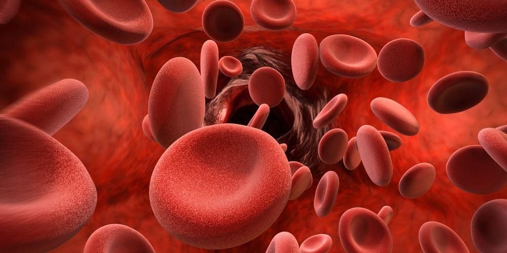 hemoglobin dalam darah