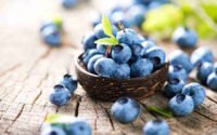Manfaat Blueberry Bagi Kesehatan Tubuh
