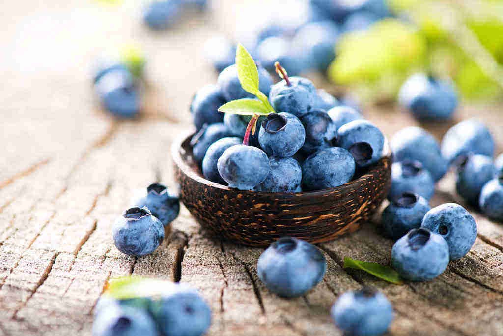 Manfaat Blueberry Bagi Kesehatan Tubuh