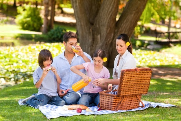 makanan piknik keluarga