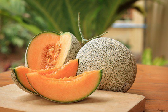 Khasiat Buah Melon